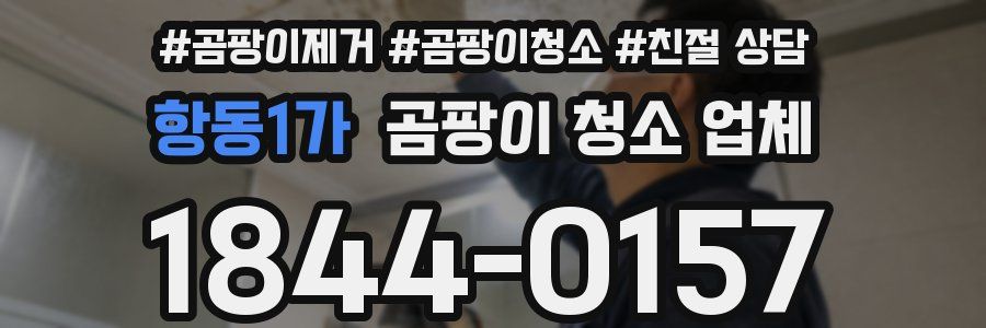 항동1가 곰팡이 청소 업체