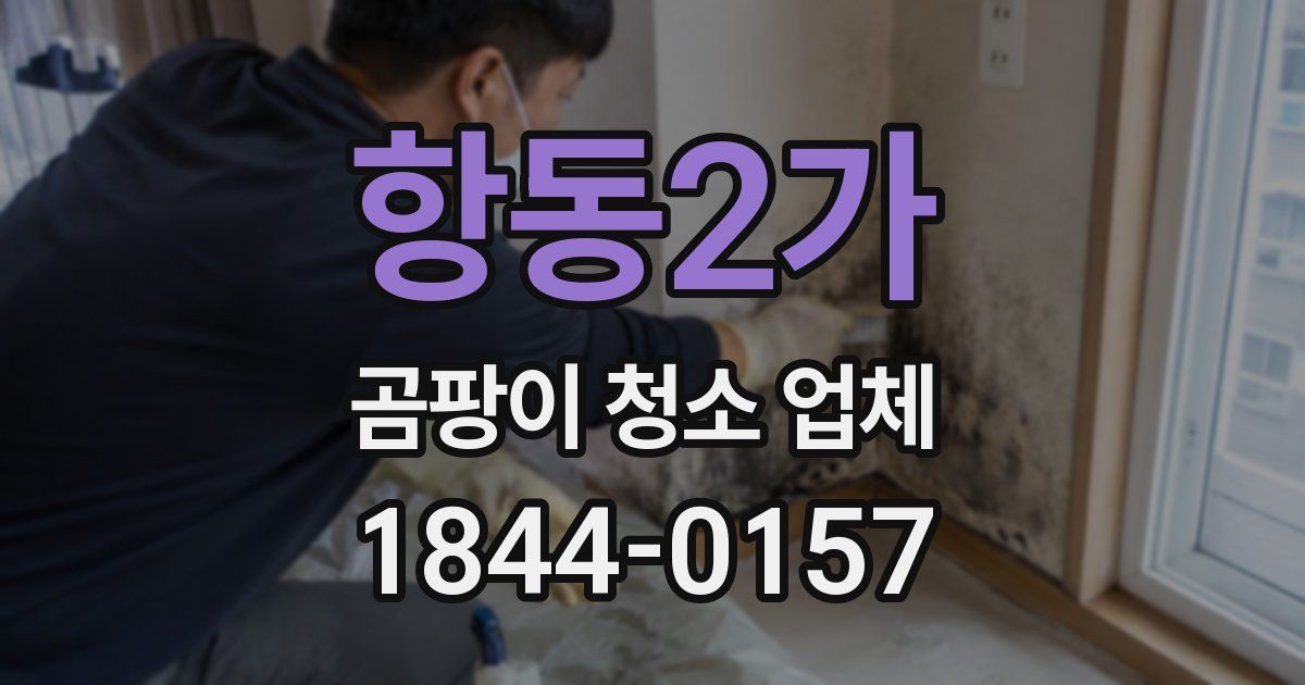 항동2가 곰팡이 청소 업체