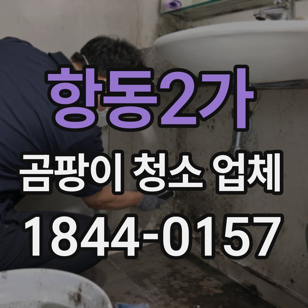 항동2가 곰팡이 청소 업체