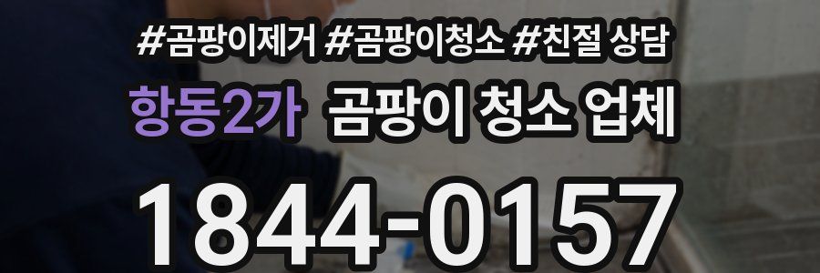 항동2가 곰팡이 청소 업체