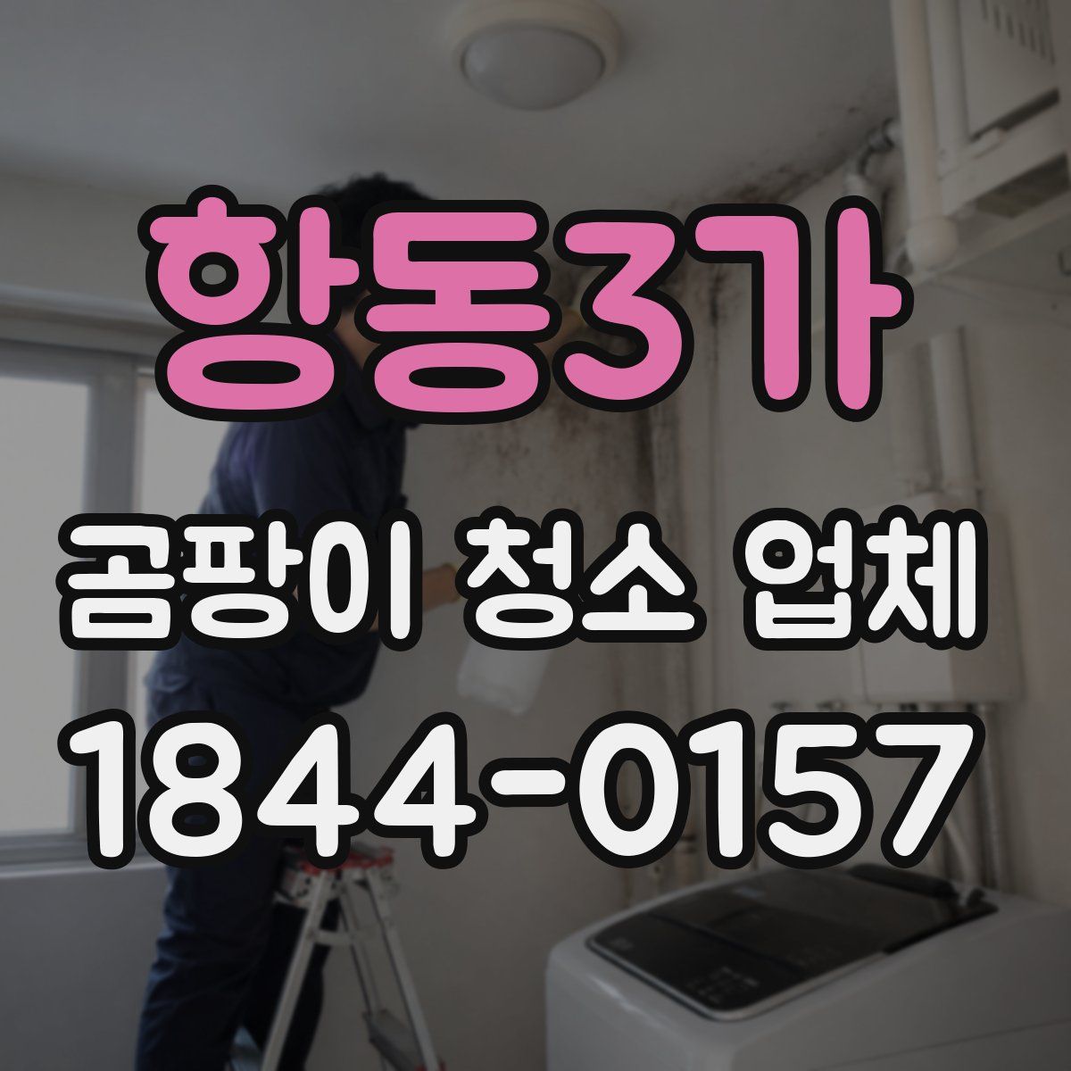항동3가 곰팡이 청소 업체