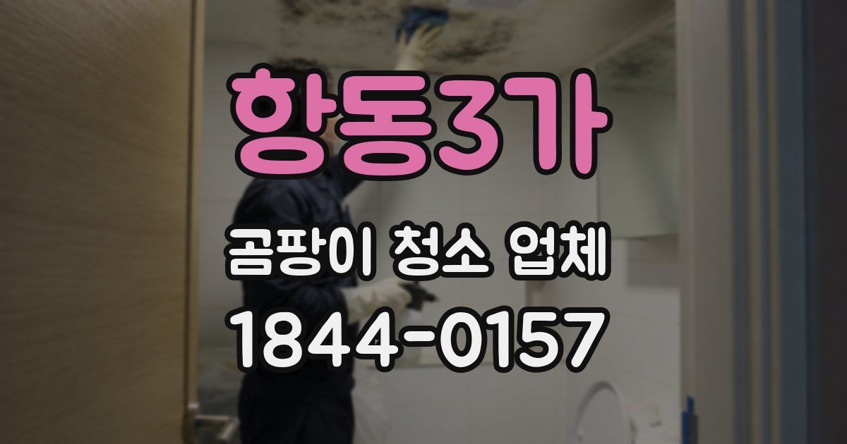 항동3가 곰팡이 청소 업체
