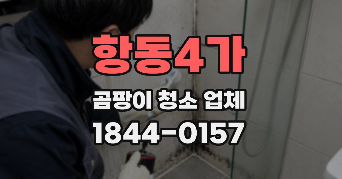 항동4가 곰팡이 청소 업체