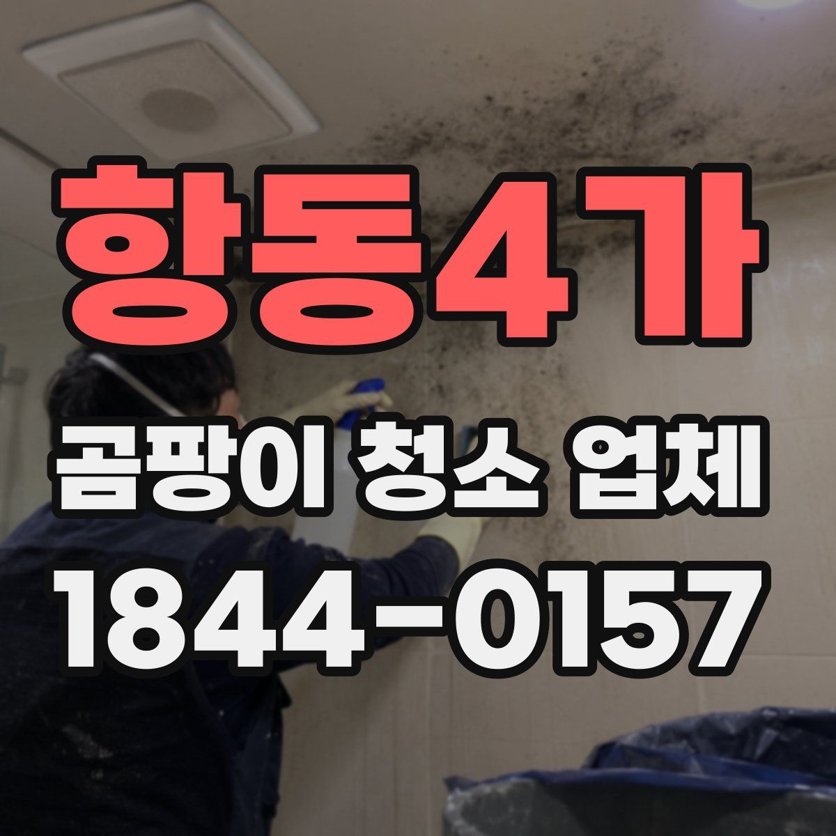 항동4가 곰팡이 청소 업체