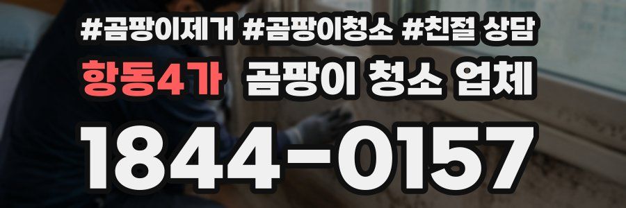 항동4가 곰팡이 청소 업체