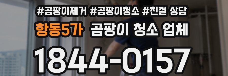 항동5가 곰팡이 청소 업체