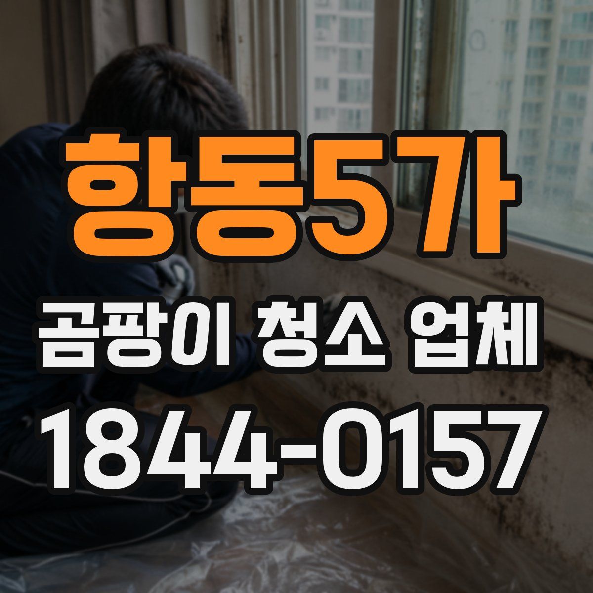 항동5가 곰팡이 청소 업체