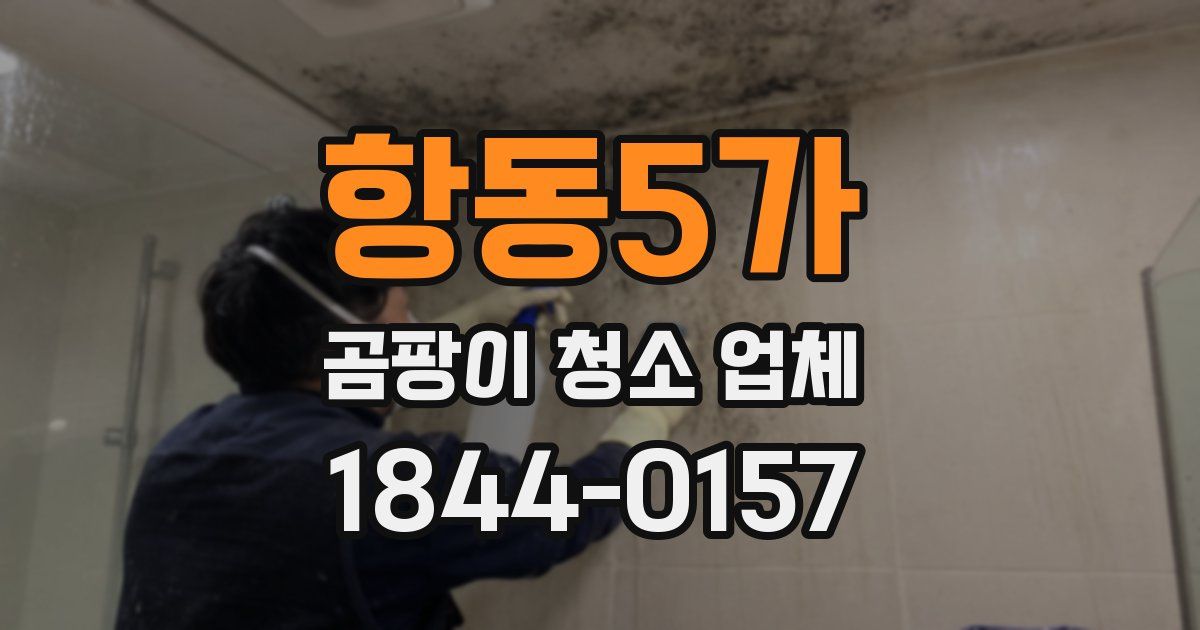 항동5가 곰팡이 청소 업체