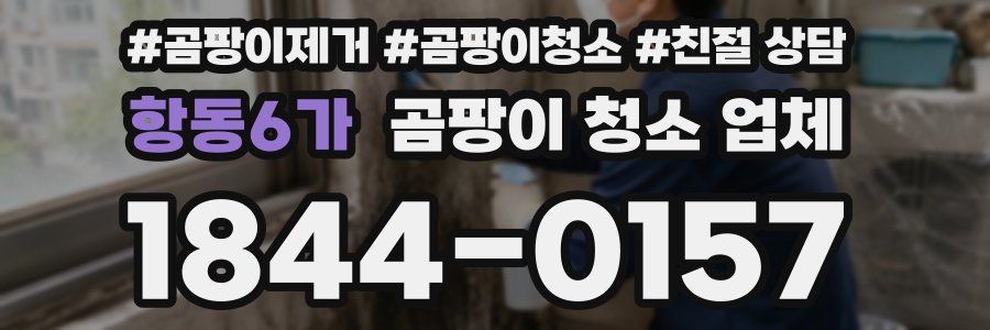 항동6가 곰팡이 청소 업체