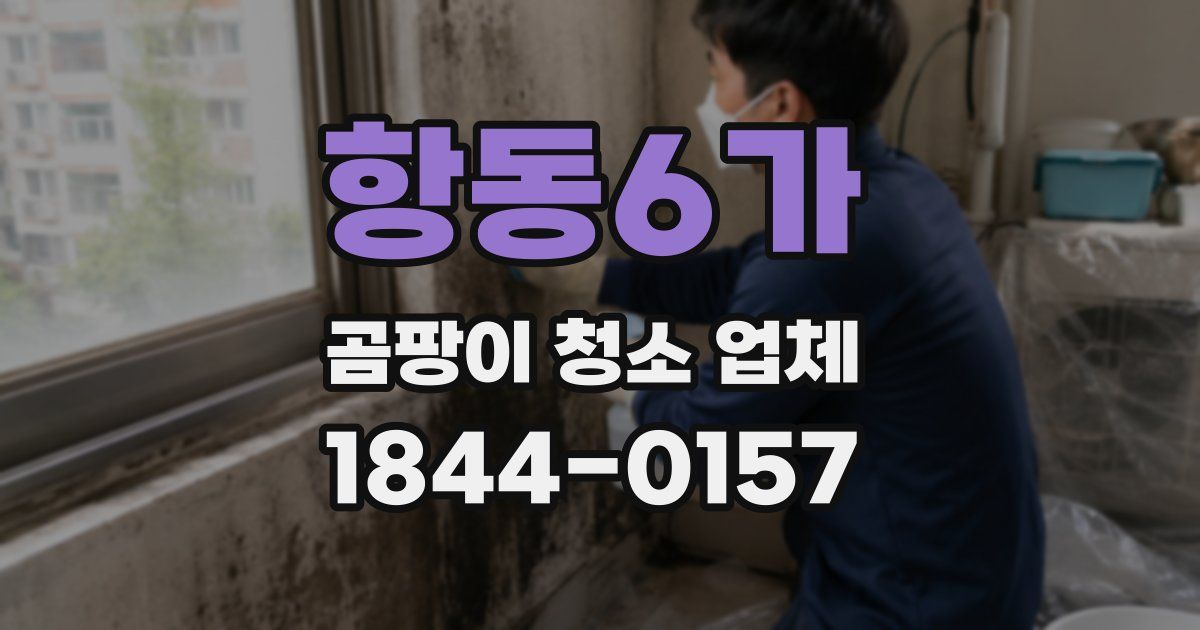 항동6가 곰팡이 청소 업체