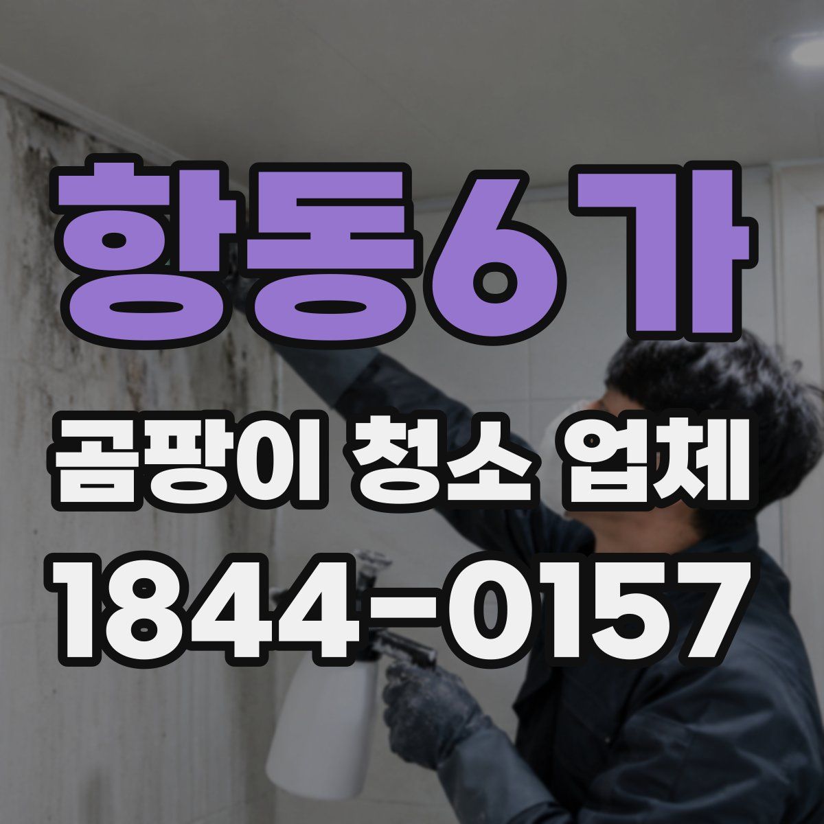 항동6가 곰팡이 청소 업체