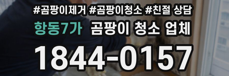 항동7가 곰팡이 청소 업체