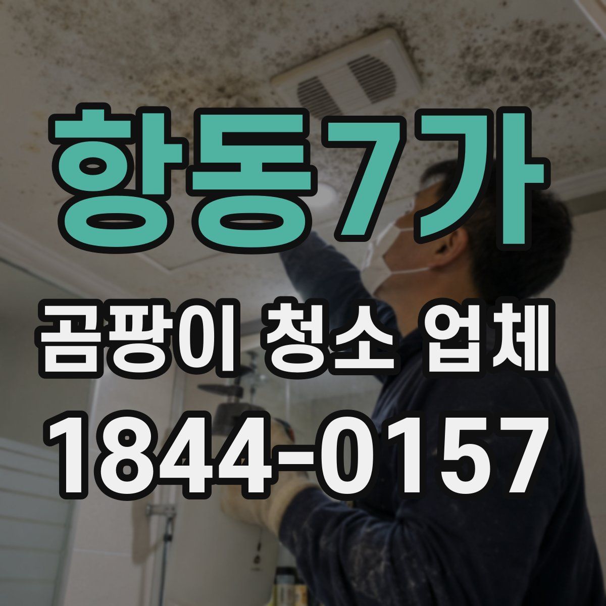 항동7가 곰팡이 청소 업체