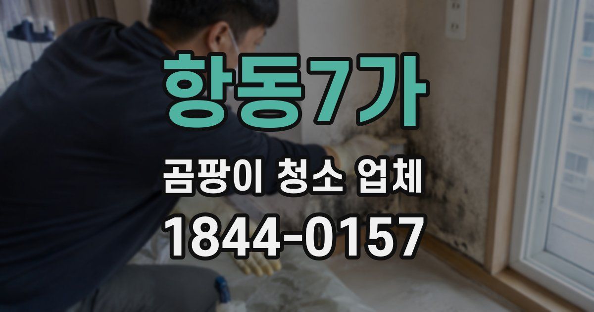 항동7가 곰팡이 청소 업체
