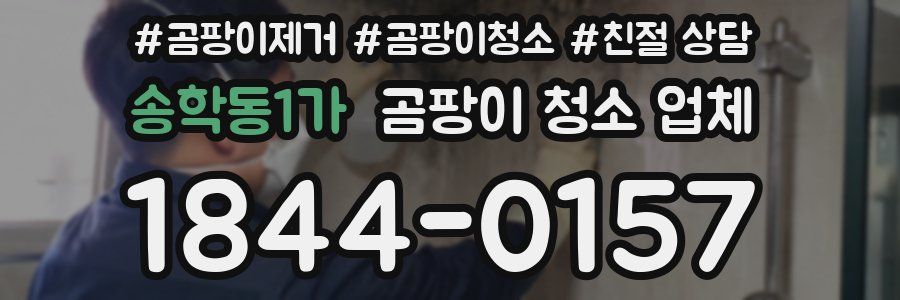 송학동1가 곰팡이 청소 업체