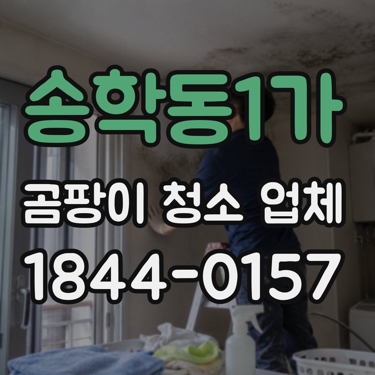 송학동1가 곰팡이 청소 업체