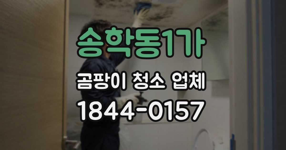 송학동1가 곰팡이 청소 업체