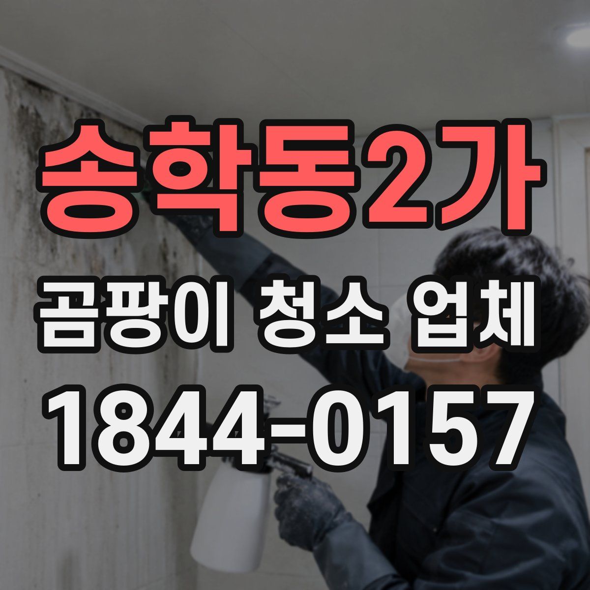 송학동2가 곰팡이 청소 업체