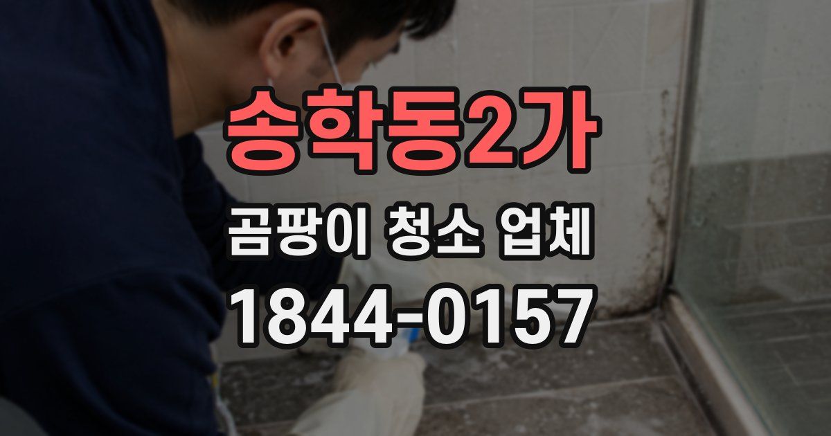 송학동2가 곰팡이 청소 업체