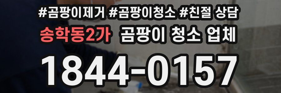 송학동2가 곰팡이 청소 업체