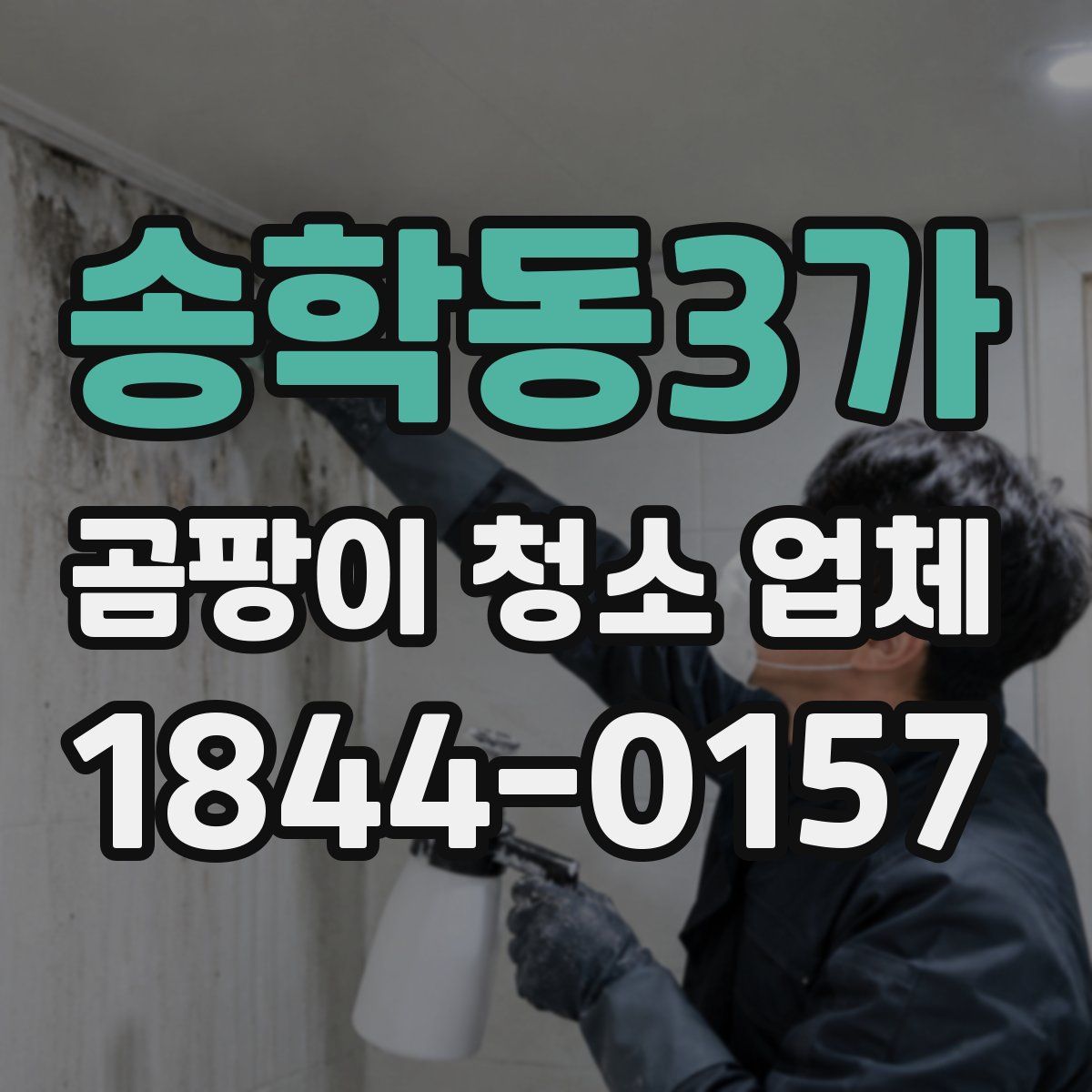 송학동3가 곰팡이 청소 업체