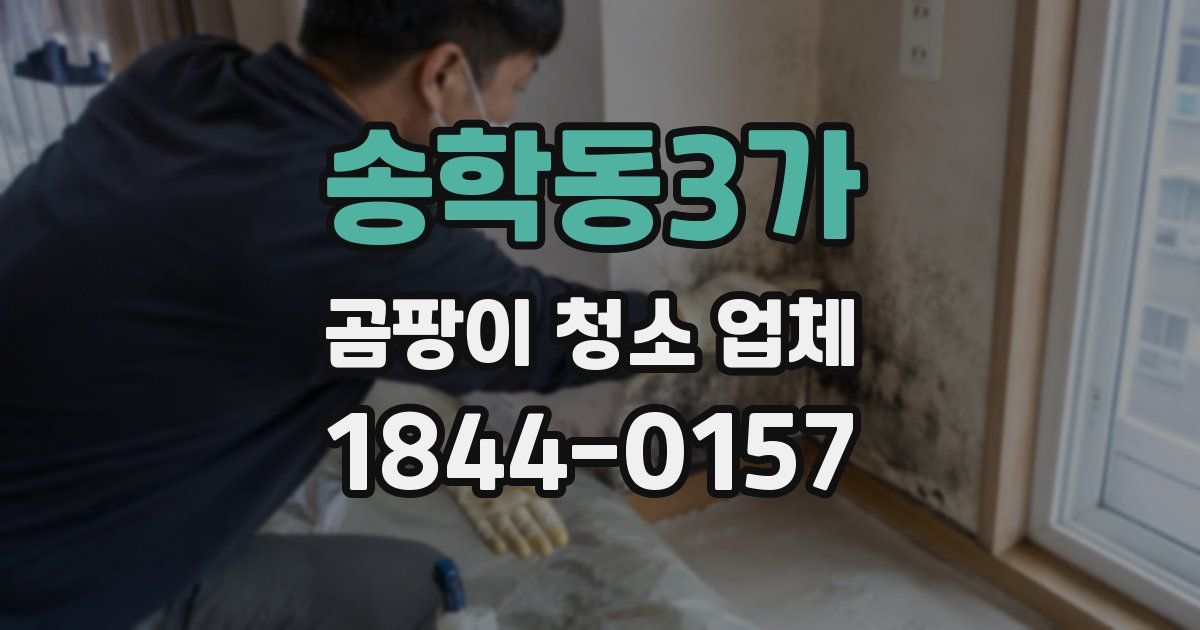 송학동3가 곰팡이 청소 업체