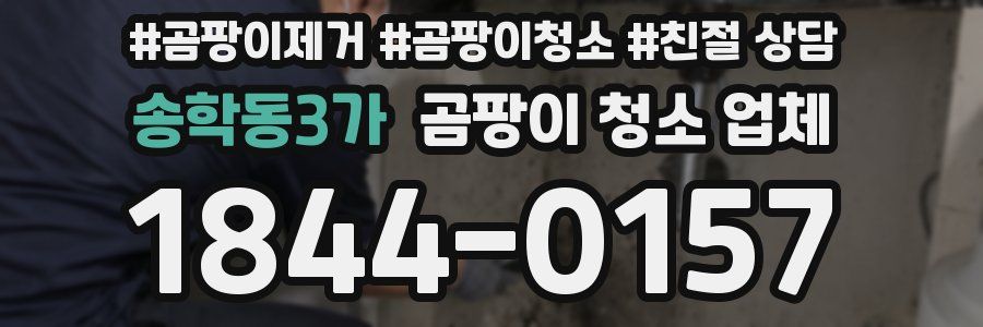 송학동3가 곰팡이 청소 업체