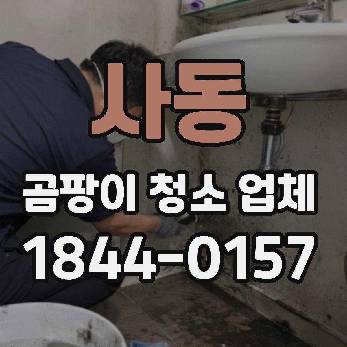 사동 곰팡이 청소 업체