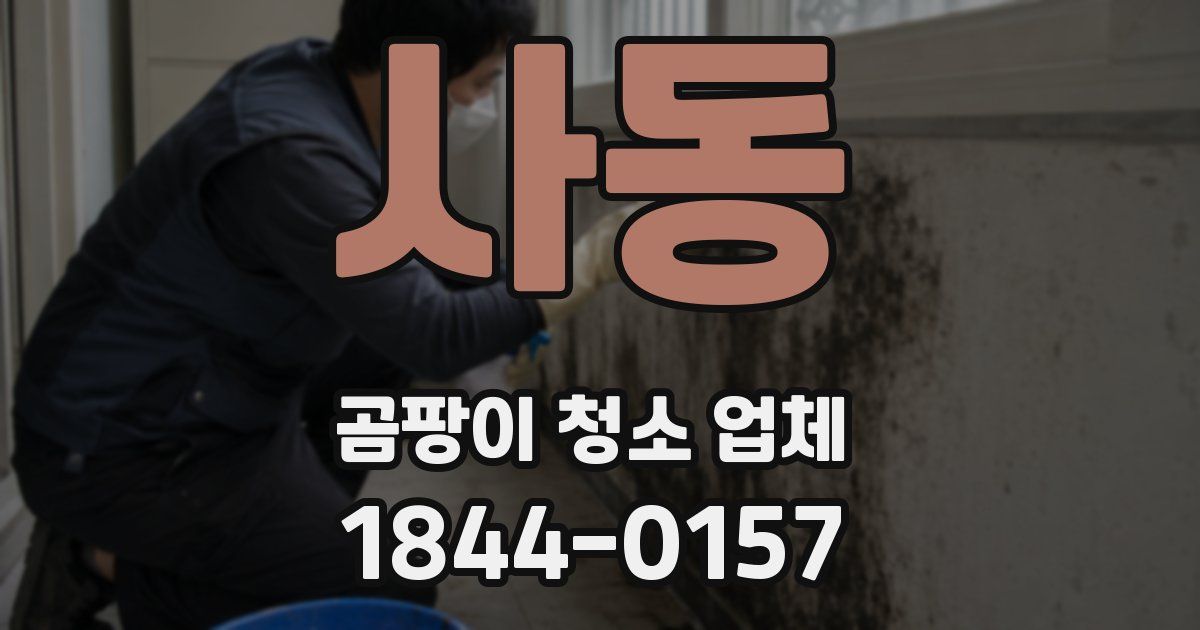사동 곰팡이 청소 업체
