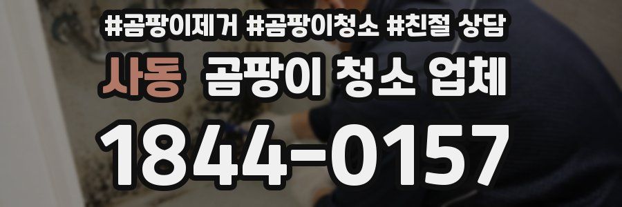 사동 곰팡이 청소 업체