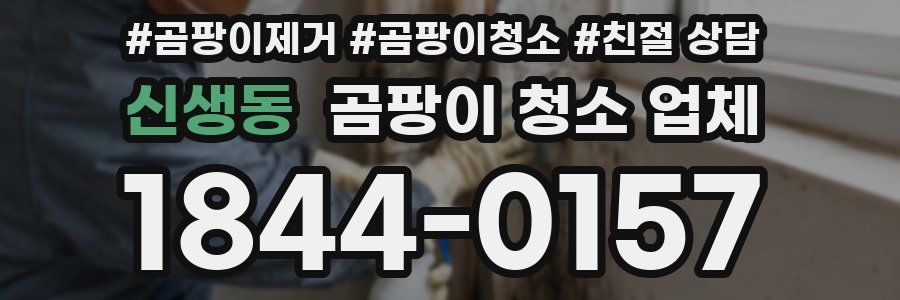 신생동 곰팡이 청소 업체
