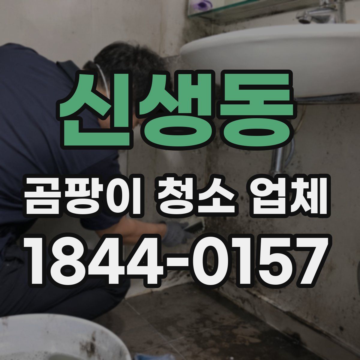 신생동 곰팡이 청소 업체
