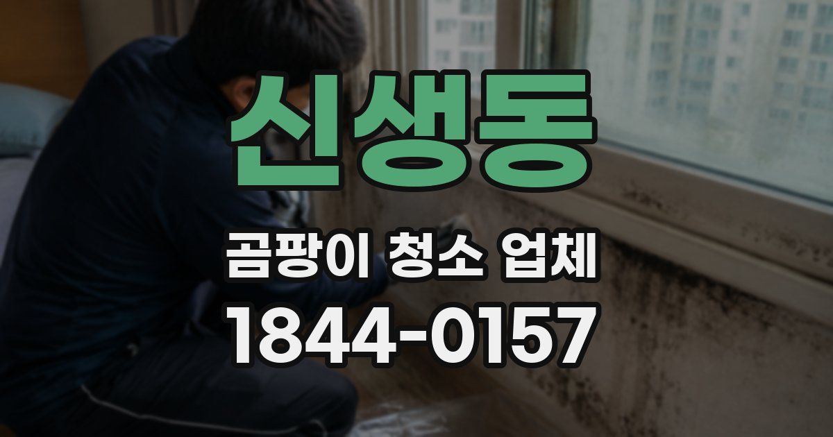 신생동 곰팡이 청소 업체