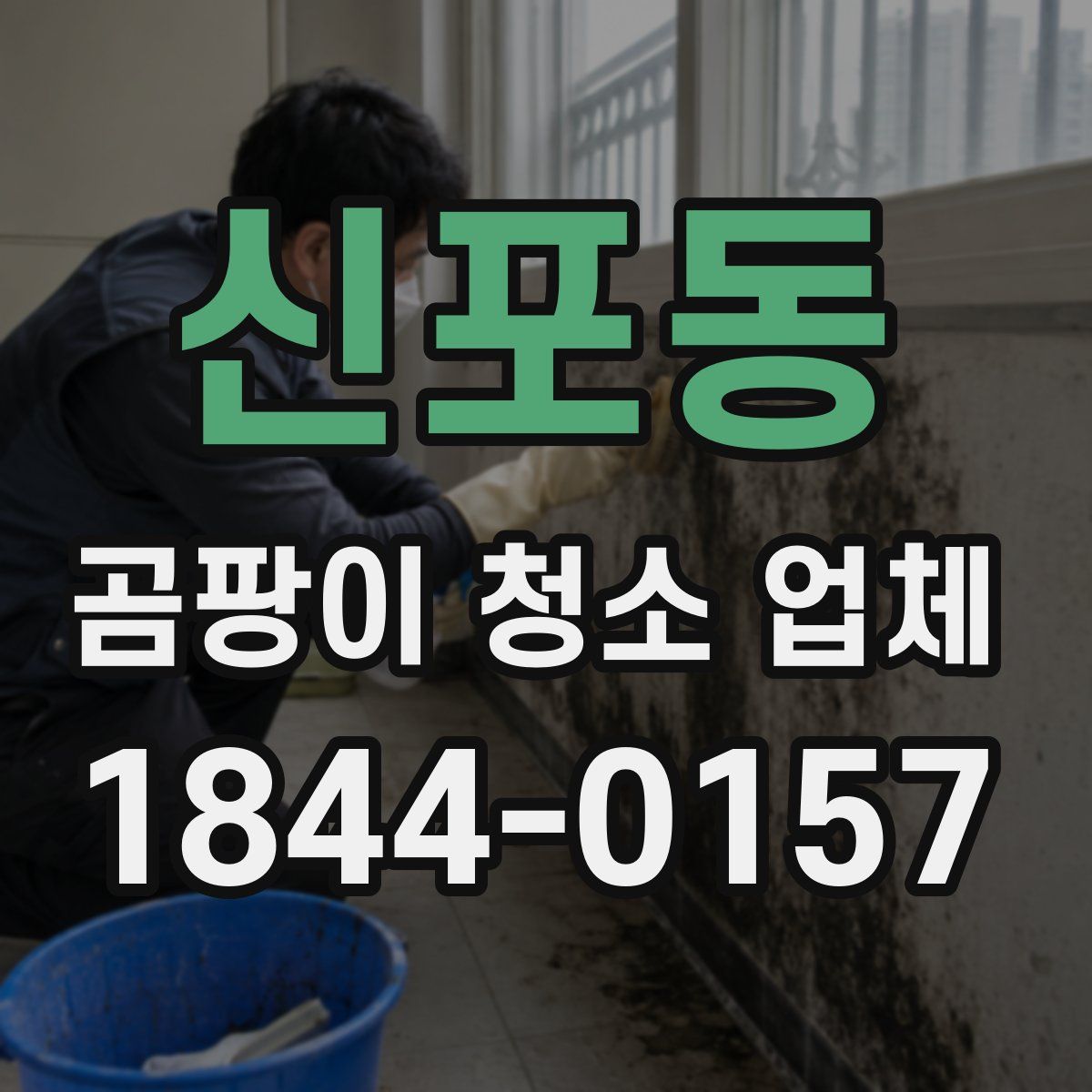 신포동 곰팡이 청소 업체