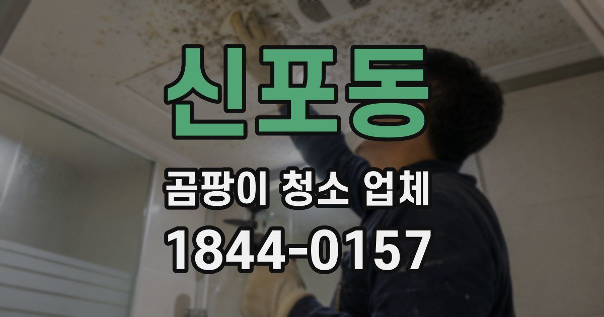 신포동 곰팡이 청소 업체