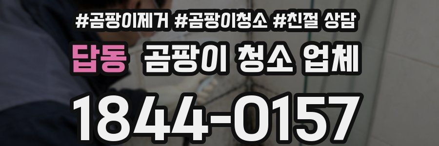 답동 곰팡이 청소 업체