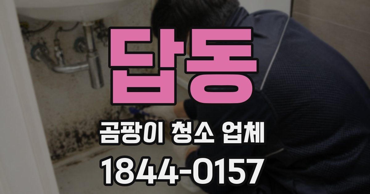 답동 곰팡이 청소 업체