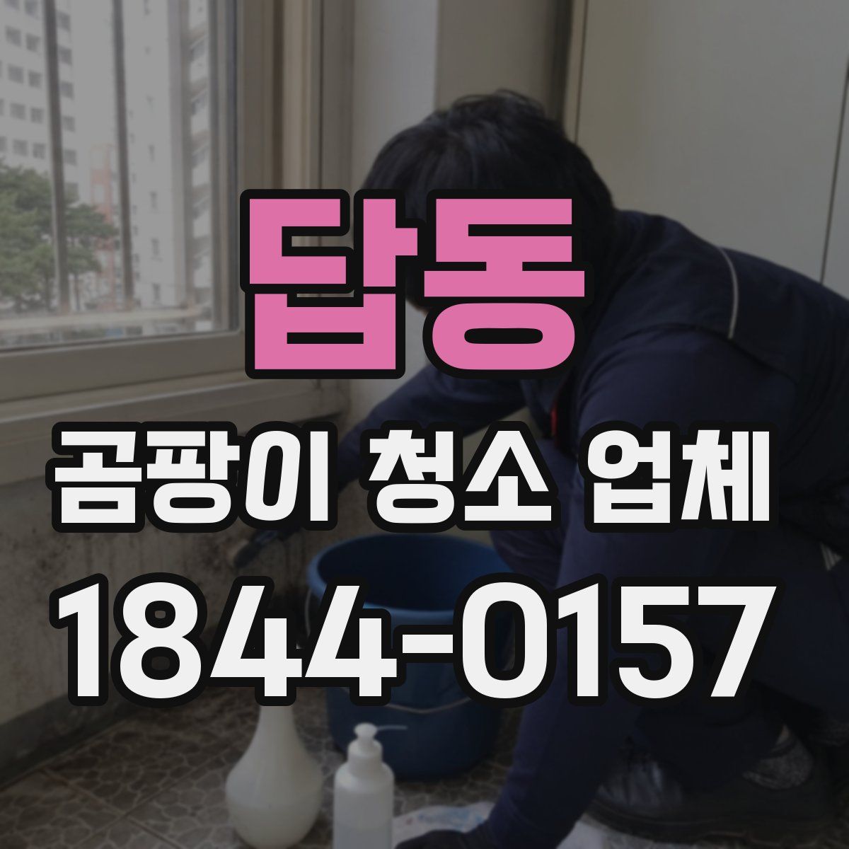 답동 곰팡이 청소 업체