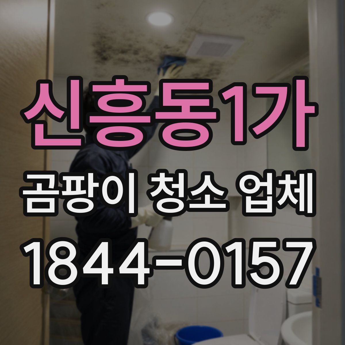 신흥동1가 곰팡이 청소 업체