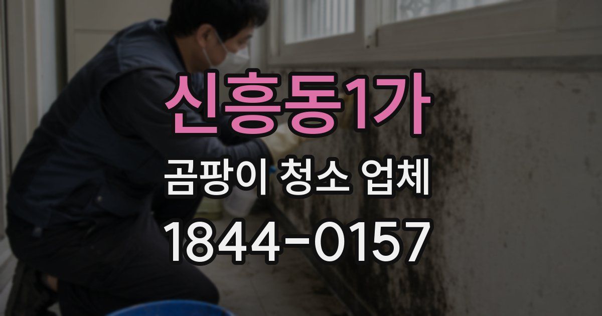 신흥동1가 곰팡이 청소 업체