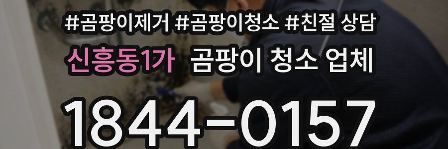신흥동1가 곰팡이 청소 업체