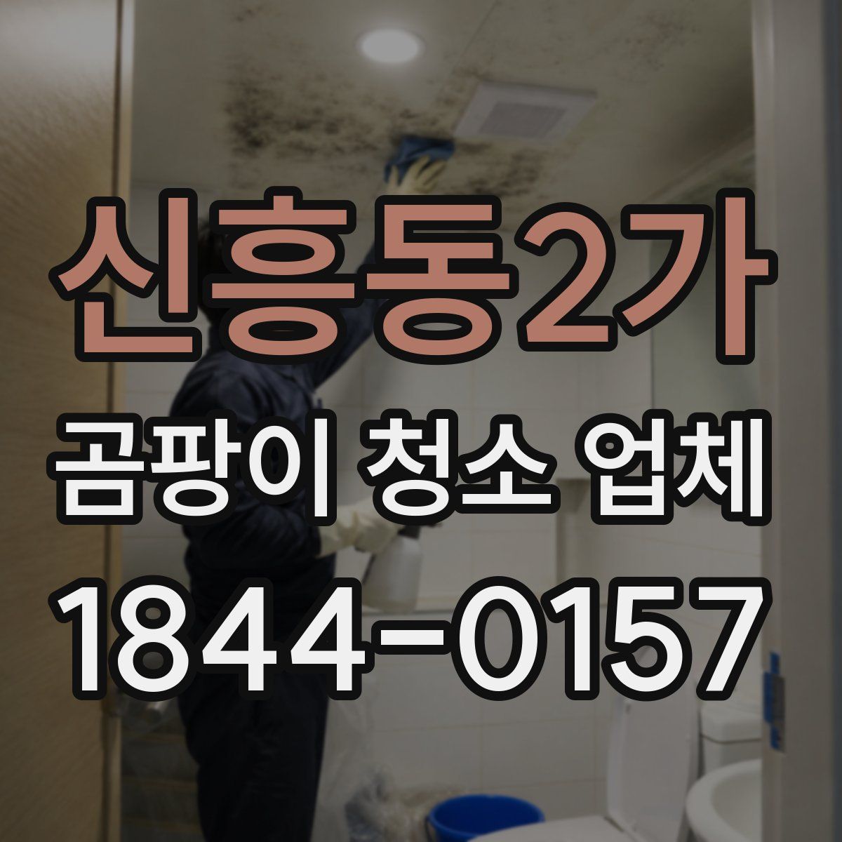 신흥동2가 곰팡이 청소 업체