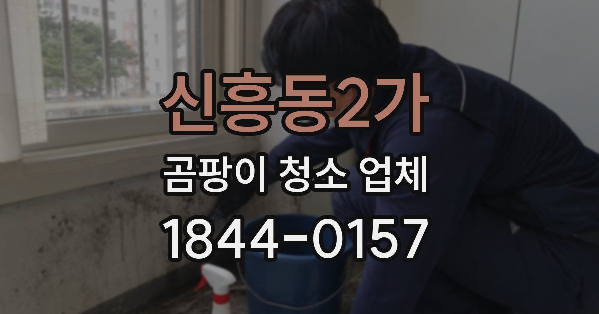 신흥동2가 곰팡이 청소 업체
