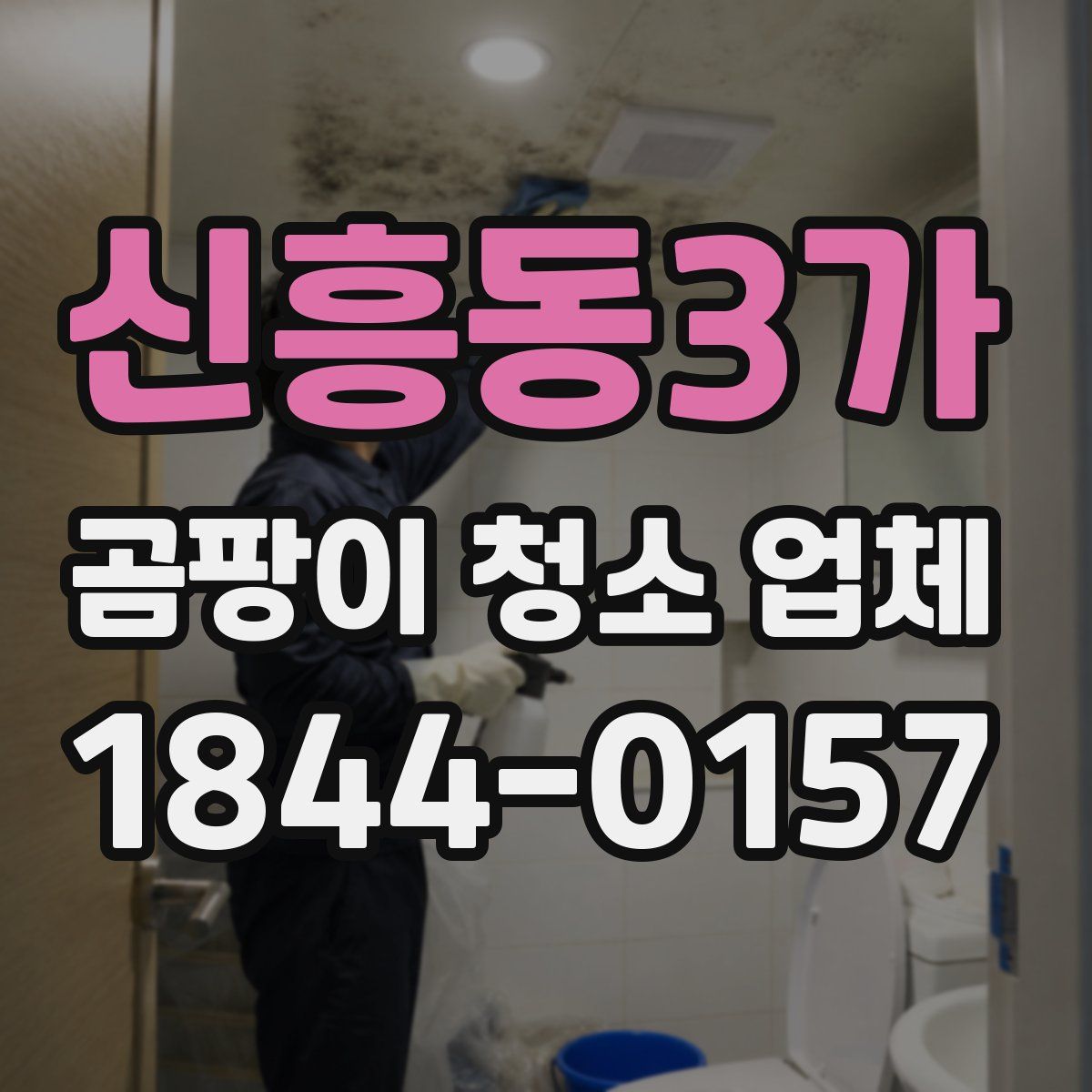 신흥동3가 곰팡이 청소 업체