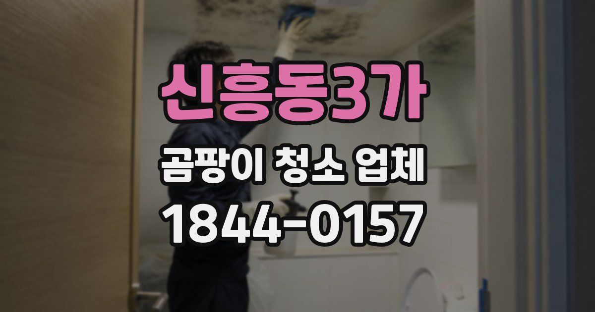 신흥동3가 곰팡이 청소 업체