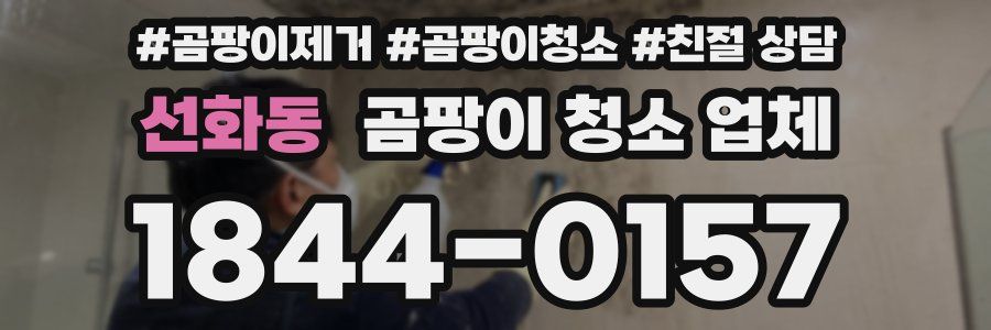 선화동 곰팡이 청소 업체