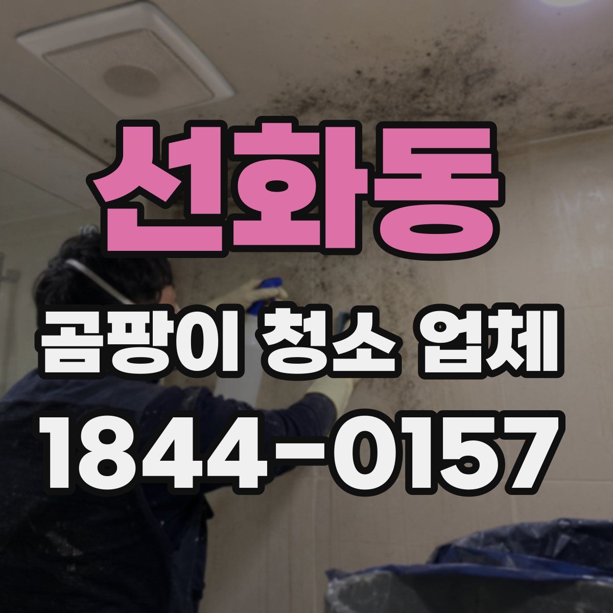 선화동 곰팡이 청소 업체