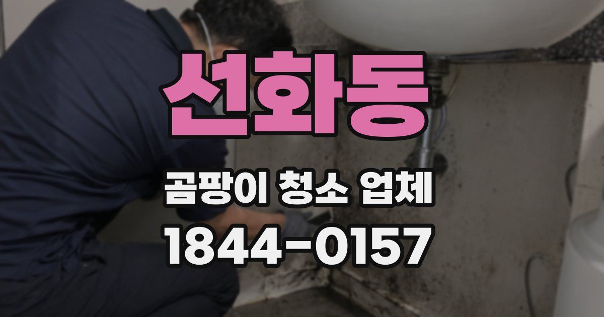 선화동 곰팡이 청소 업체