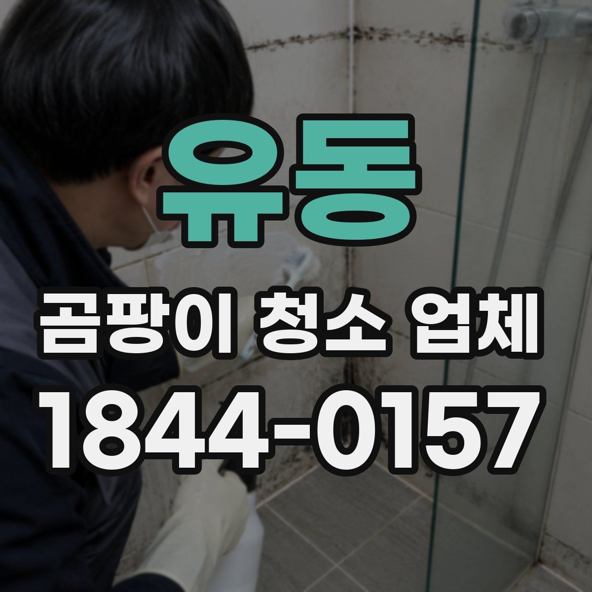 유동 곰팡이 청소 업체