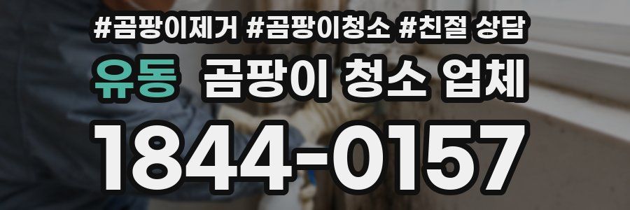유동 곰팡이 청소 업체